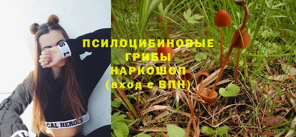 альфа пвп Нефтегорск