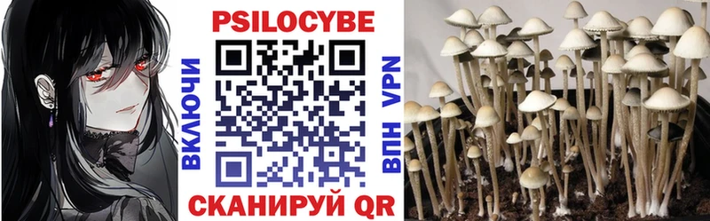 Галлюциногенные грибы Psilocybine cubensis  купить наркотик  Ярославль 