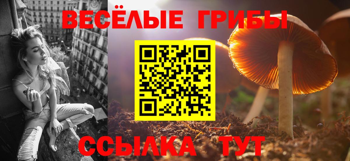 Галлюциногенные грибы Cubensis Ярославль