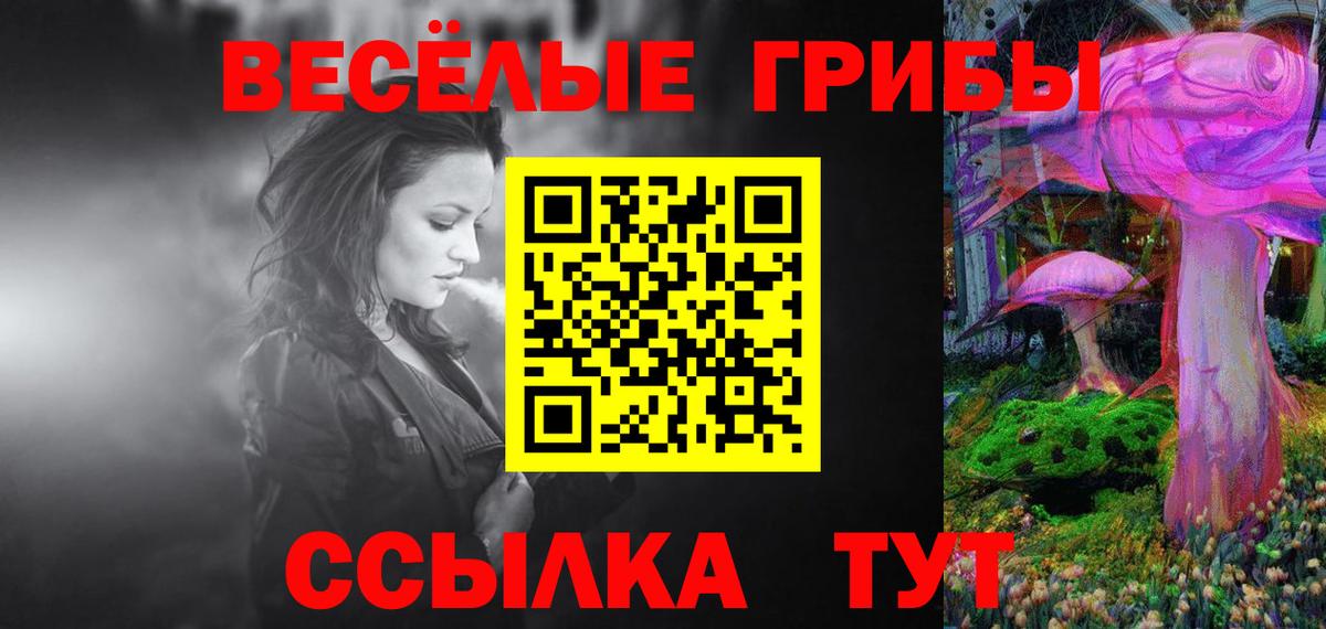 Ярославль  Псилоцибиновые грибы прущие грибы  Вход с VPN  Галлюциногенные грибы GOLDEN TEACHER 